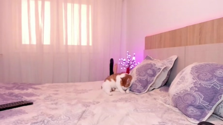 missmarrisa  07-05-2022